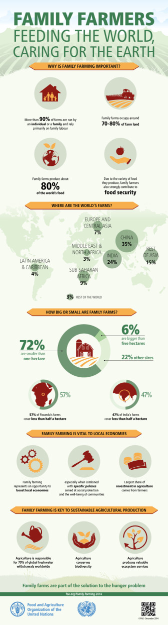 FAO-Infographic-IYFF14-FamilyFarms-en