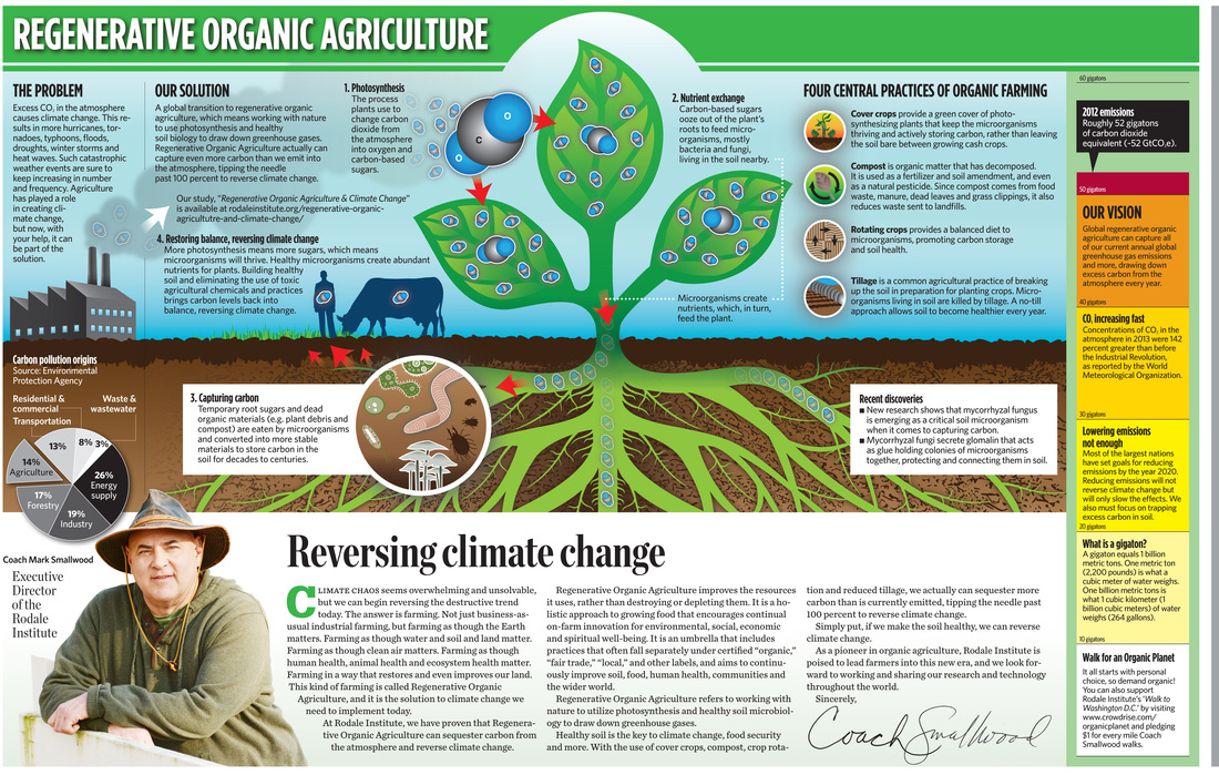 regenerative farming infographic