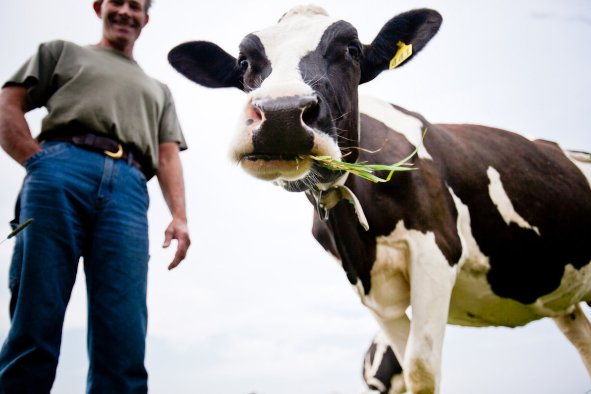 New Label Soon for Grass-Fed Milk and Yogurt - Regeneration International