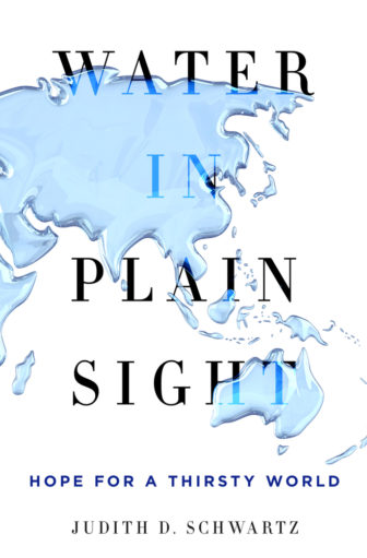 Water in Plain Sight- 9781250069917-1