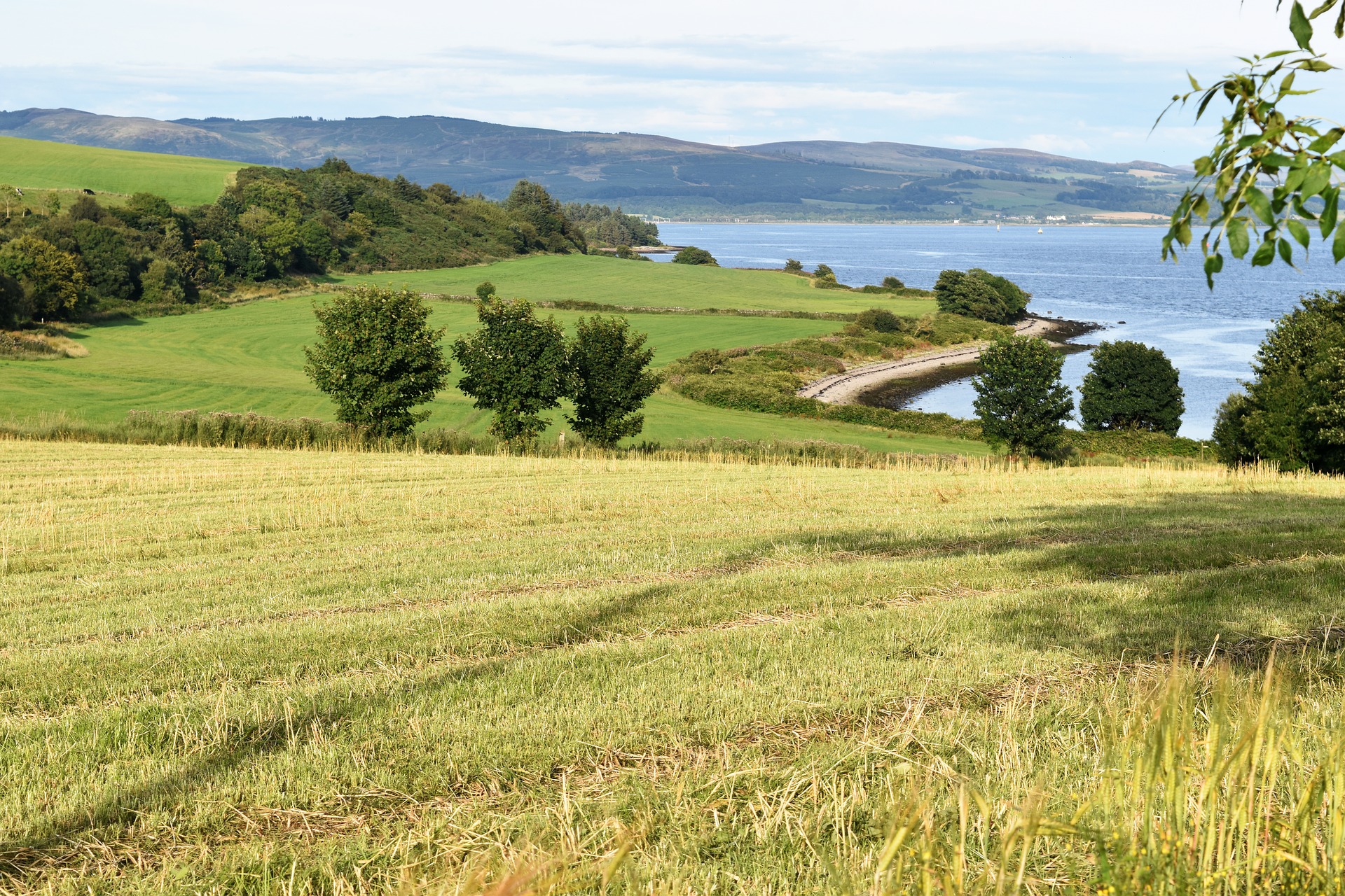 Эти равнины словно море бескрайнее. Шотландия Сельская местность. Равнинная Шотландия. Равнины Шотландии. Река в поле.