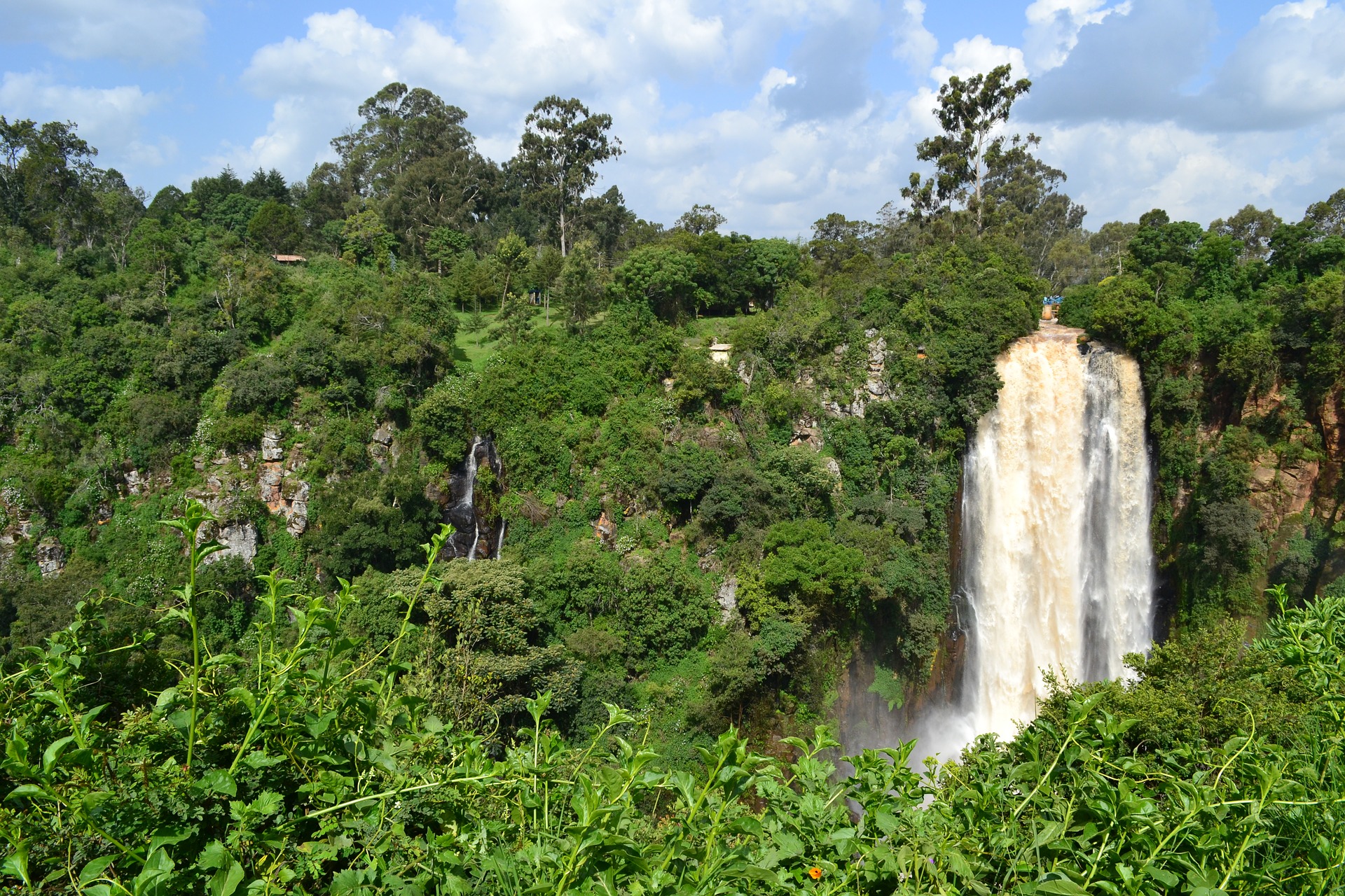 Kenya Africa forest jungle waterfall - Regeneration International