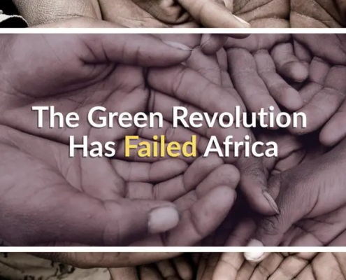 Twenty Years of the Green Revolution in Africa: The Evidence Says It Failed Twenty Years of the Green Revolution in Africa: The Evidence Says It Failed