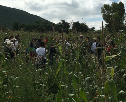 The Organic Movement Stands Together: Elevating Truly Regenerative Agriculture and Calling Out Regen Greenwashing The Organic Movement Stands Together: Elevating Truly Regenerative Agriculture and Calling Out Regen Greenwashing
