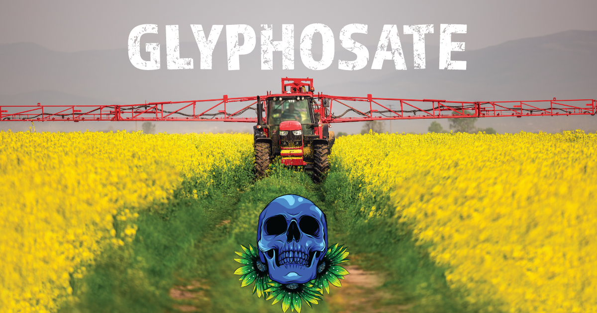 Tracing the links of Monsanto's weedkiller glyphosate to cancer cases
