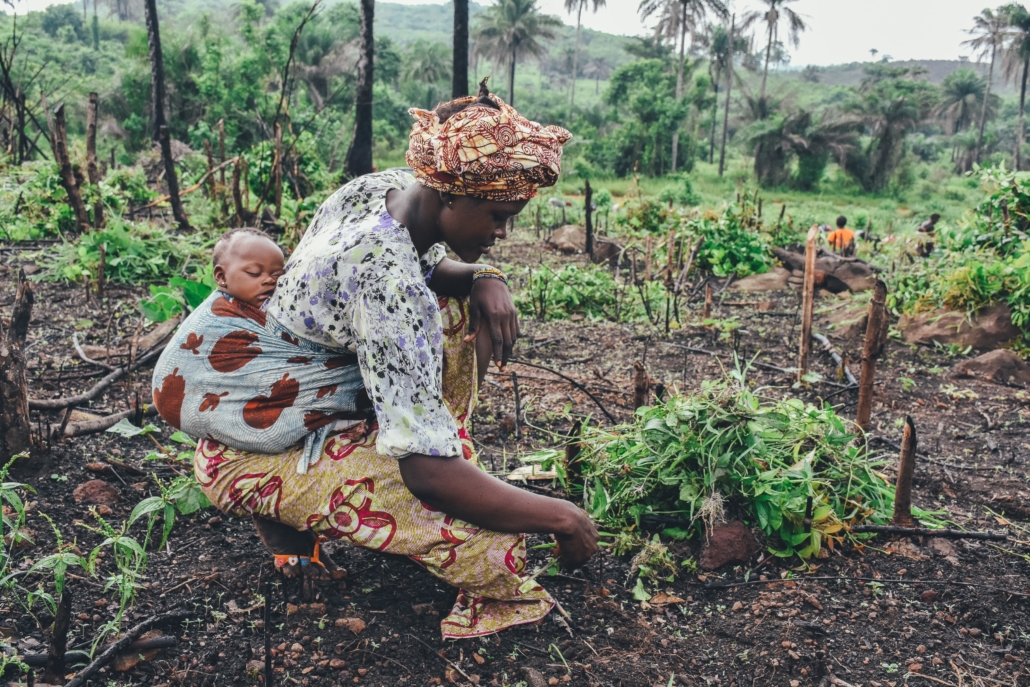 Time to Transition to Agroecology in Africa pic
