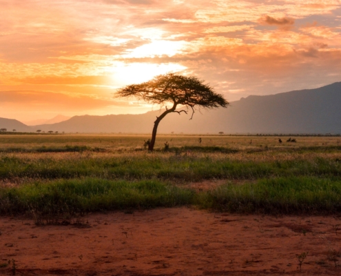 At Global Desertification Conference, Pastoralists Call for Greater Recognition At Global Desertification Conference, Pastoralists Call for Greater Recognition