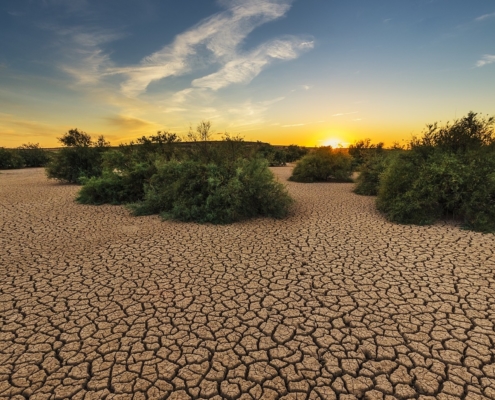 Living With Drought Has Taught Pastoralists Lessons the World Needs Living With Drought Has Taught Pastoralists Lessons the World Needs